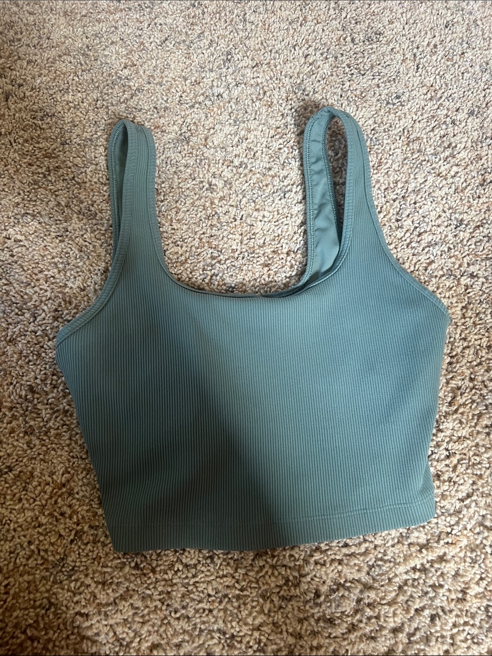 aerie Ribbed Scoop Bralette in Sage